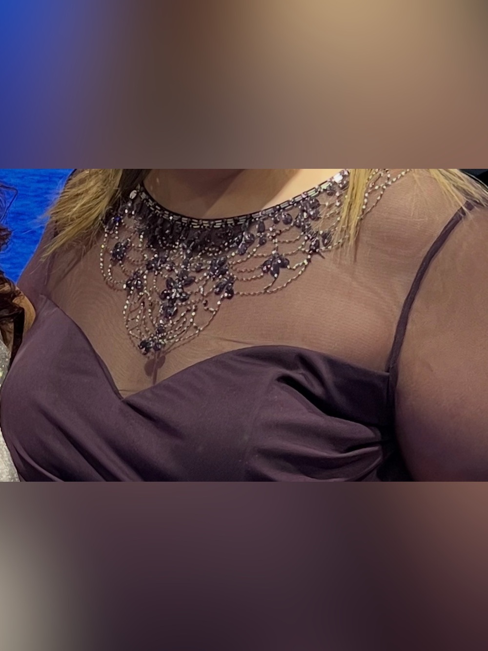 Embellished Sheer Yoke Evening Top in Deep Plum